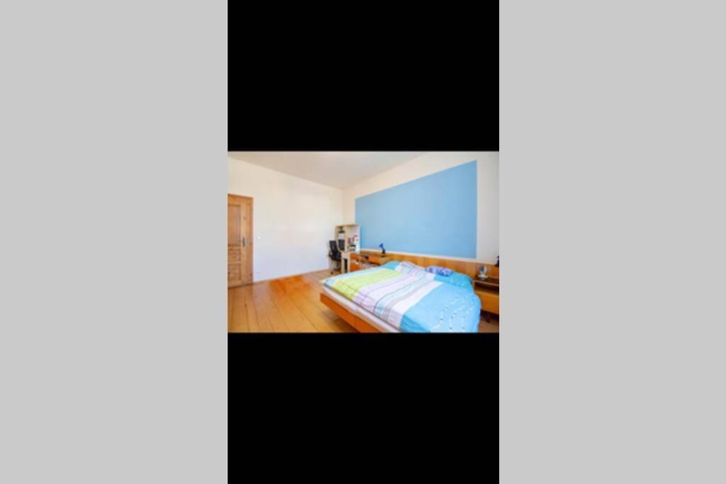 Zamecky Apartman V Horni Plane Horní Planá Buitenkant foto